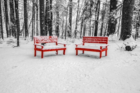 Red Benches