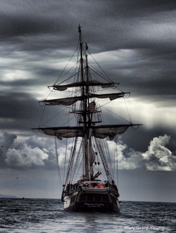 Sailing Toward the Storm