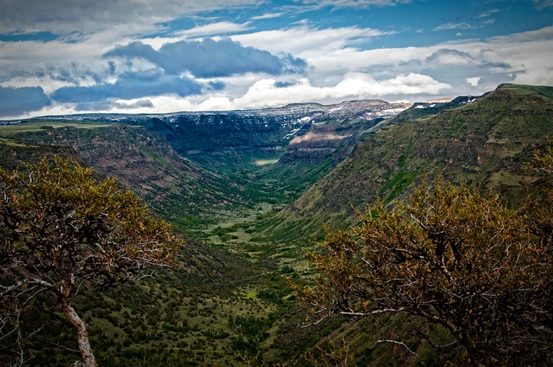 Steens Mt Canyons