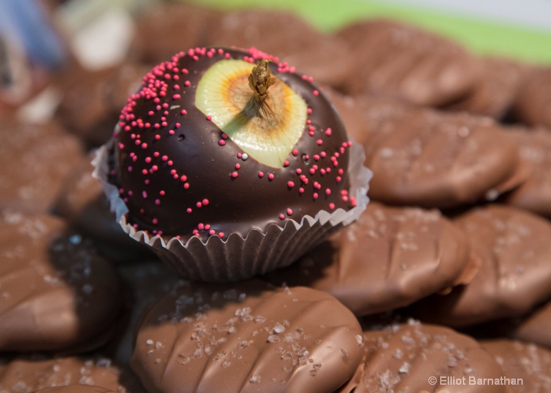 Chocolate Covered Onion