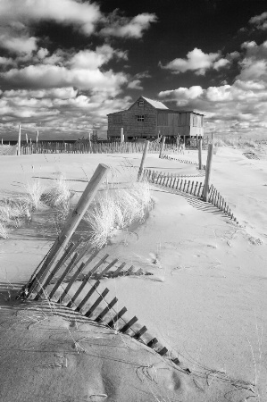 Old Dune House (Infrared)