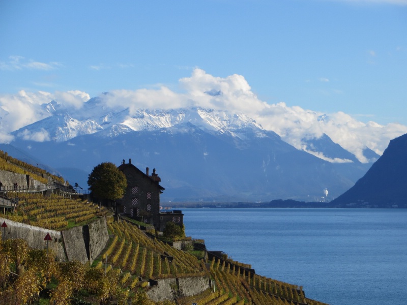 Lake Geneva, Vineyards with Fall Colors