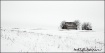 Desolate