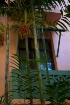 Bamboo balcony