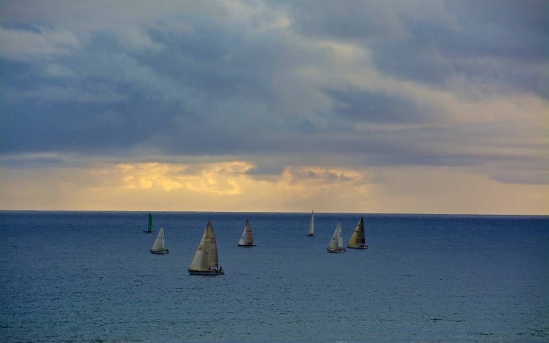 Honolulu Fri evening sail