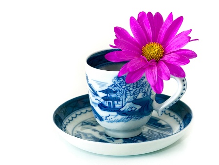 A cup of flower