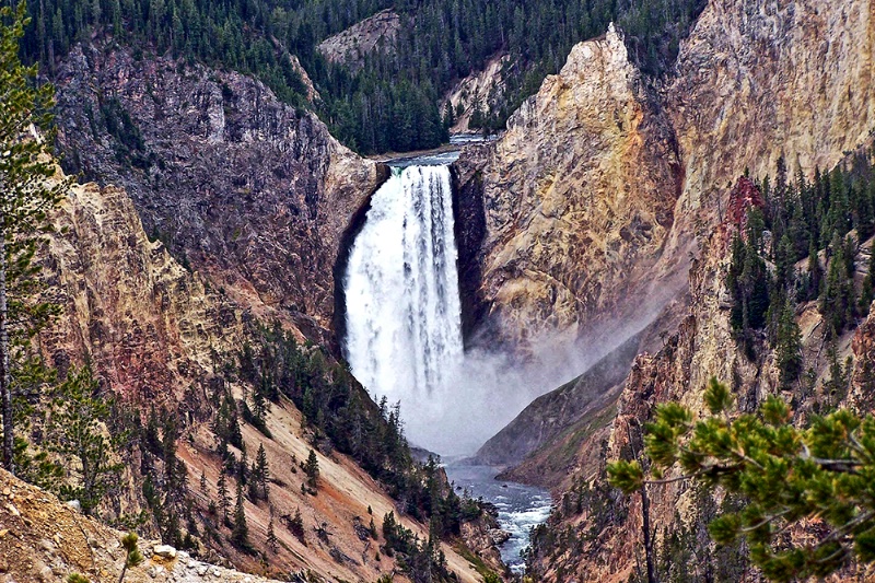 Lower Yellowstone Falls