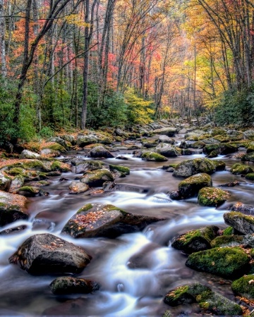 Big Creek Vertical 