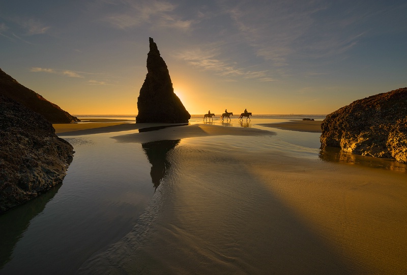 Horses On Bandon Beach