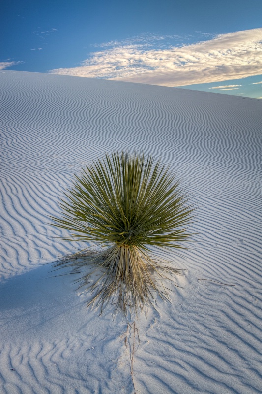 White Sands N. M. New Mexico