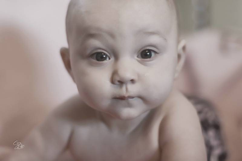 img2