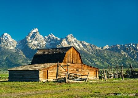 Mormon Row Morning