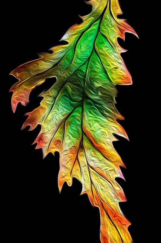 Leaf In Glass