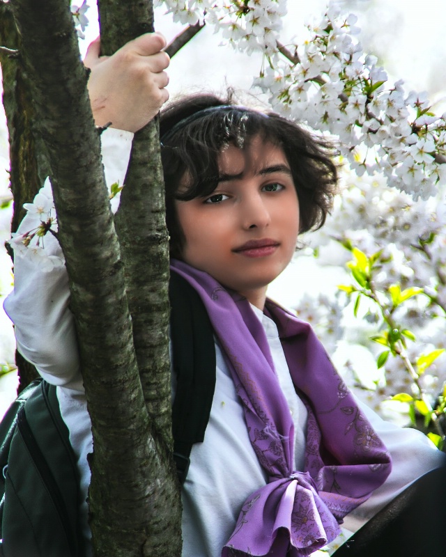 Girl in Cherry Tree