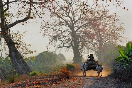 Summer time in Myanmar.