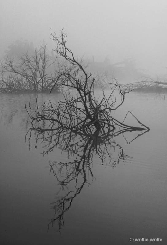 River Flight