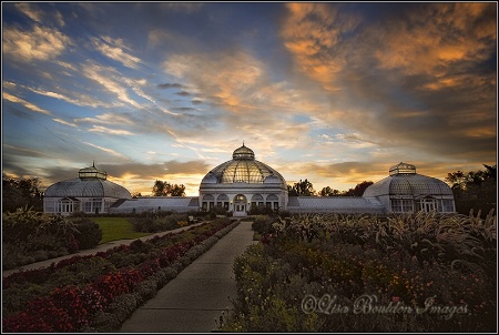 Botanical Garden Light