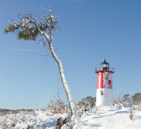 Nauset Lighthouse in Winter