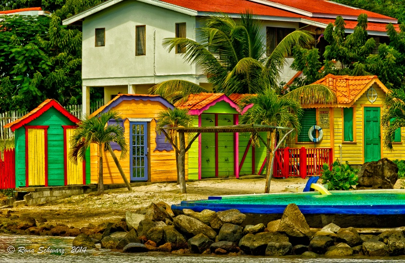 Caribbean Color