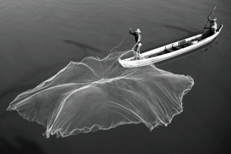 Fishing with the net