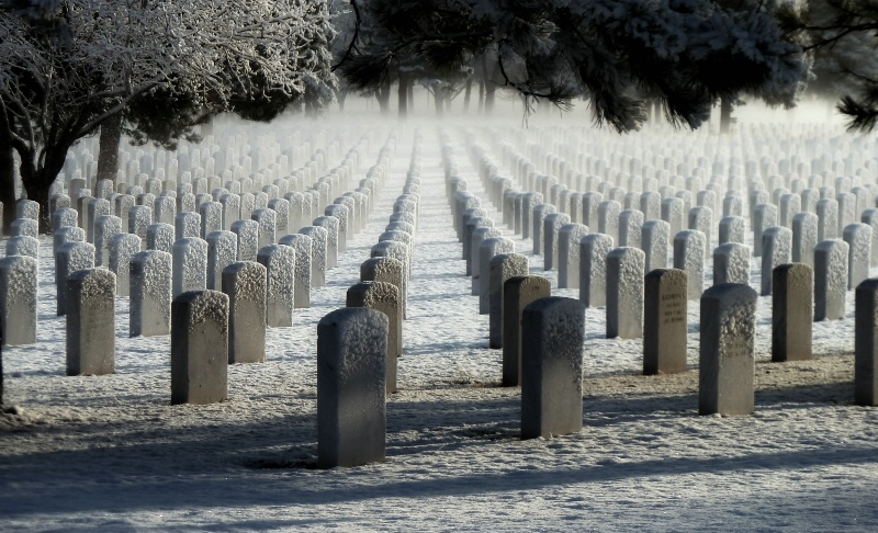 Cemetery Dreaming