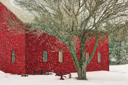 Red Barn in Falling Snow