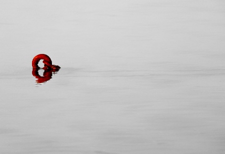 Red Mooring Anchor