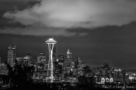 Seattle: Luz de Noche 1