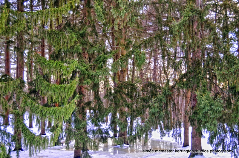 decordova green