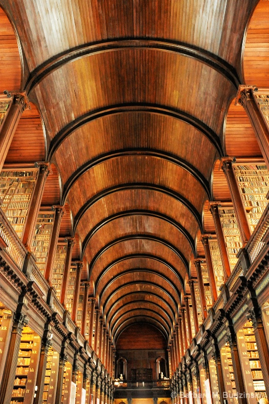 Barrel-Vaulted Ceiling