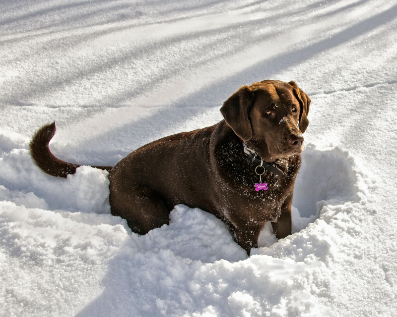 Hey!  Put Down The Camera and Let's Go!