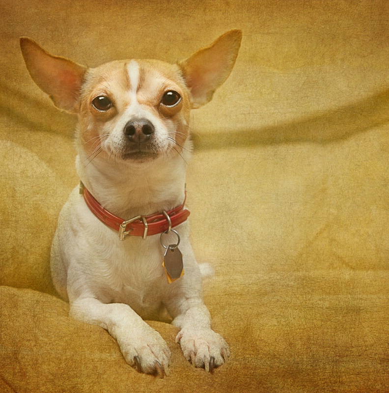 img9