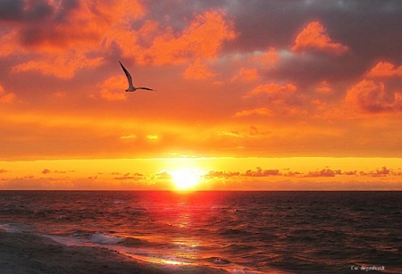 Morning on the Beach