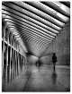 World Trade Cente...