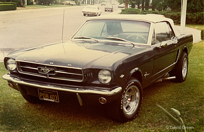 daves mustang college