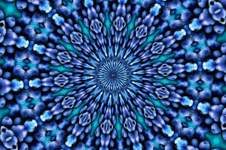 Black and Blue Berries