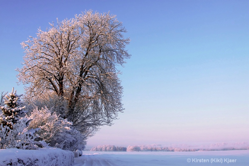 Winter In The Country