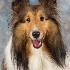 © Tracy Bazemore PhotoID# 14397895: 5x7 portrait-0032