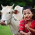 © Kyaw Kyaw Winn PhotoID # 14397924: Cow boy from Myanmar