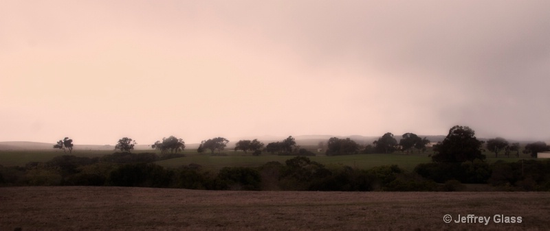 Misty Day, near Cambria, CA