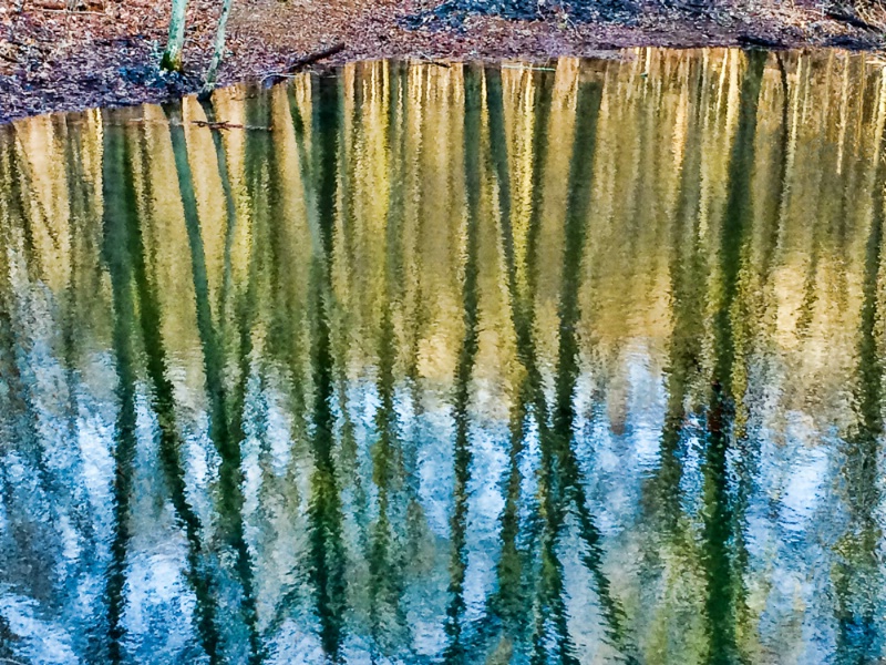 Lake Reflection