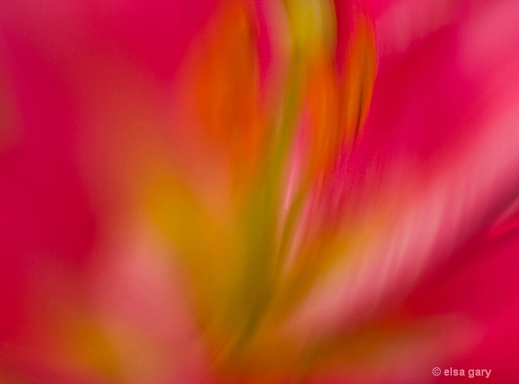Lensbaby Lily