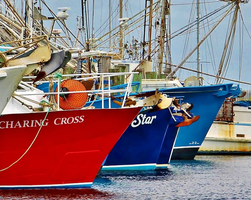 Boats at anchor