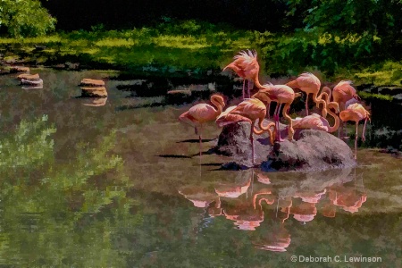 Flamingo Garden 