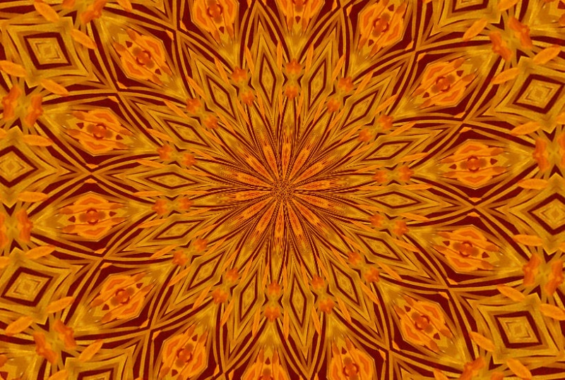 Poppy Kaleidoscope