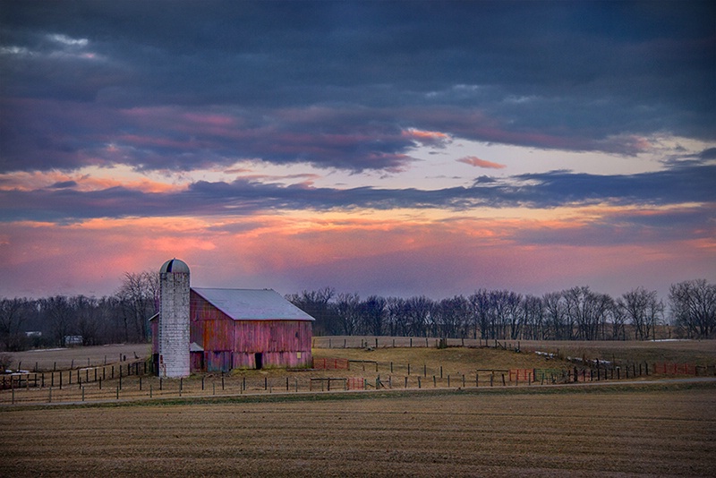 Country Morning