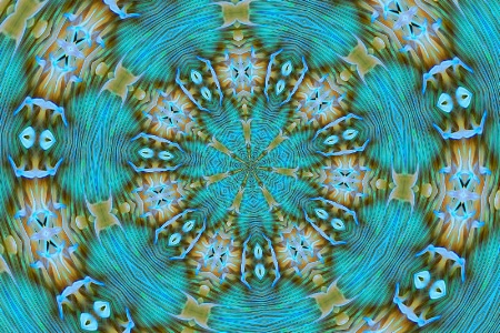 Anemone Kaleidoscope