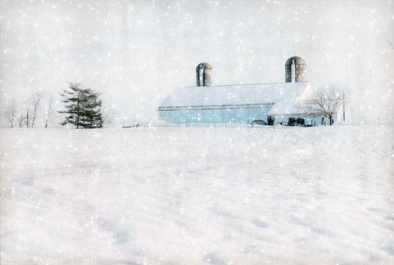 Another Snowy Amish Farm