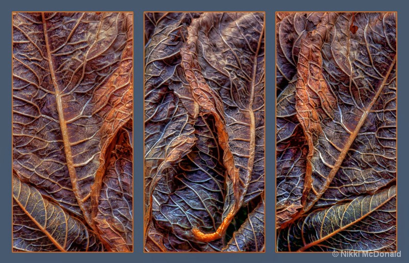 Networks Triptych