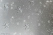 ~ Endless Winter ...